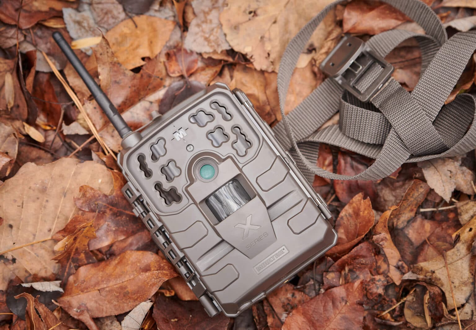 What Is The Best Cellular Trail Camera? Moultrie Mobile