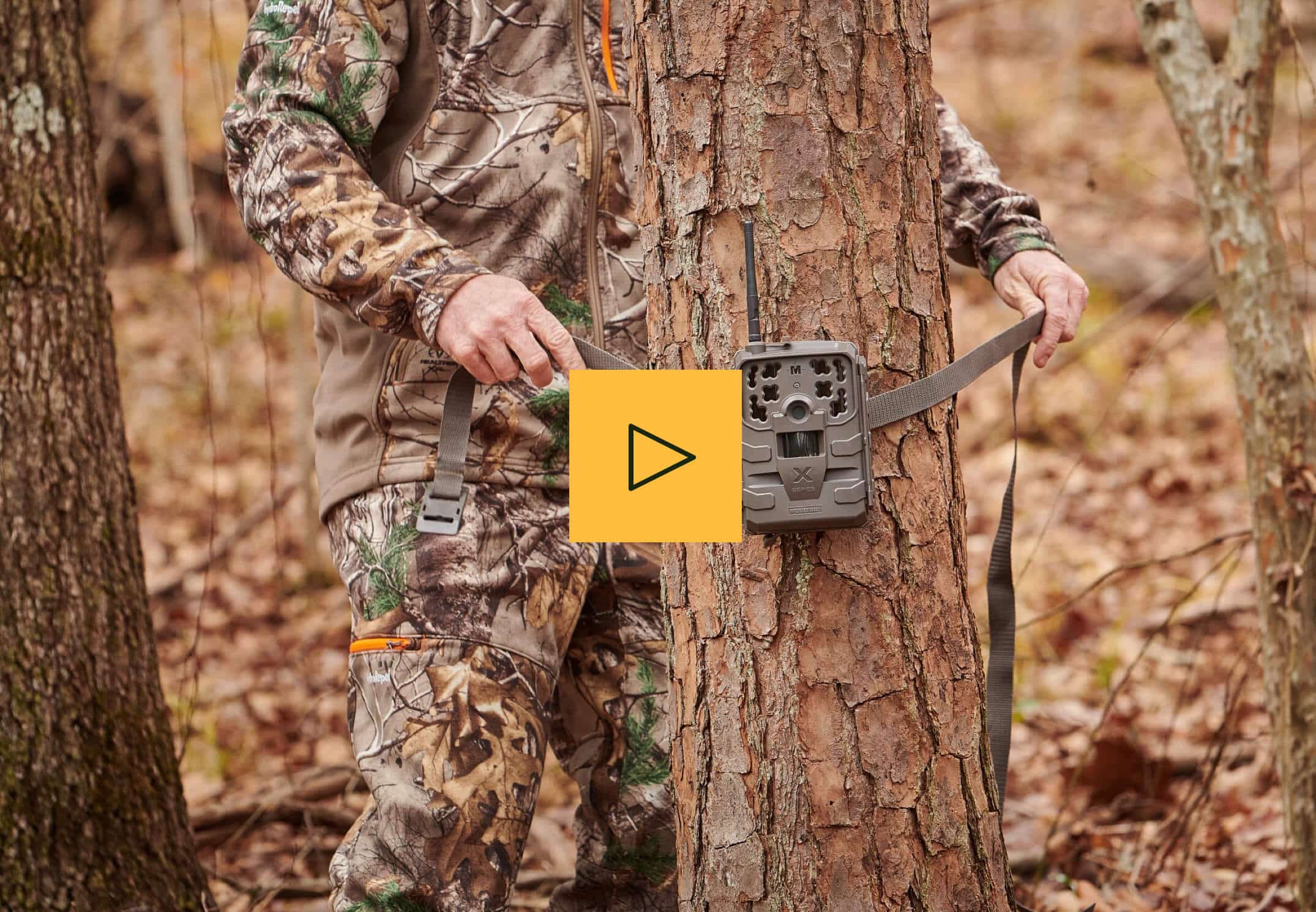 Man in camo tying a trail camera to a tree