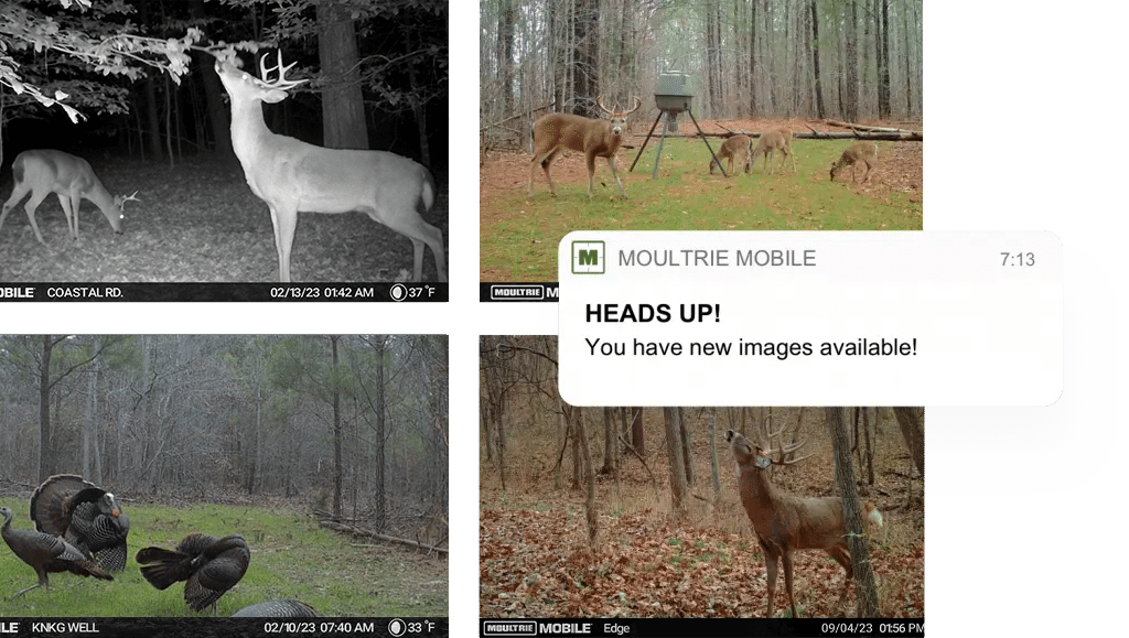 Moultrie Mobile app notification