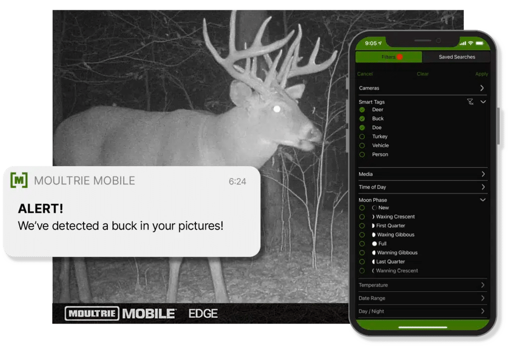 Moultrie Mobile app on iPhone and notification above a night vision image of a deer