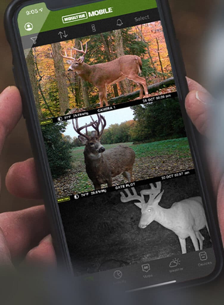Cellphone with Moultrie Mobile app