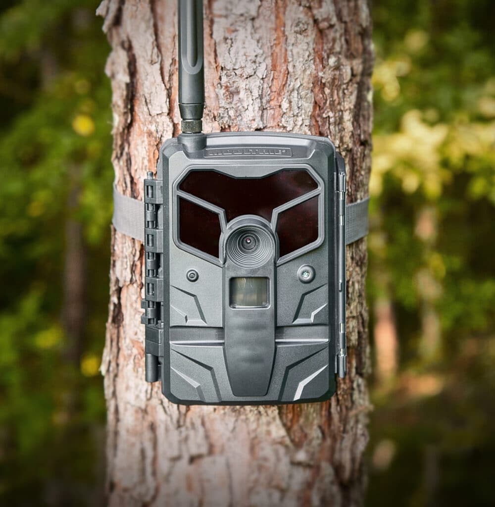 Moultrie Mobile EXO Cellular Trail Camera on a tree