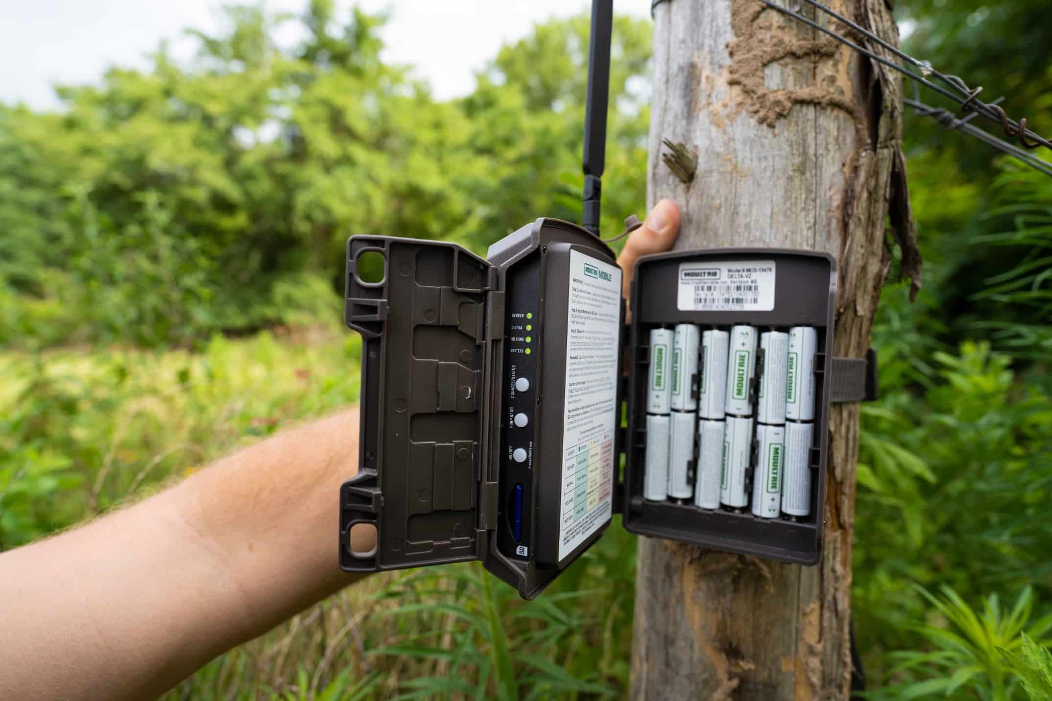 trail-camera-draining-batteries-what-to-do