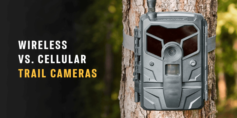 wifi vs. cellular trail cameras