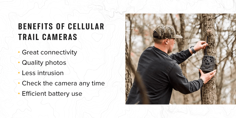 Benefits-of-Cellular-Trail-Cameras