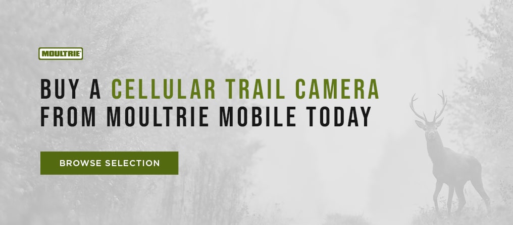 buy-a-cellular-trail-camera-from-moultrie-mobile-today