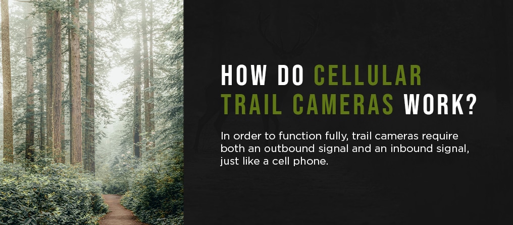 kamp twijfel In beweging How Do Cellular Trail Cameras Work? | Moultrie Mobile