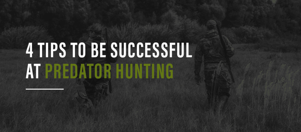 4 Tips To Be Successful At Predator Hunting