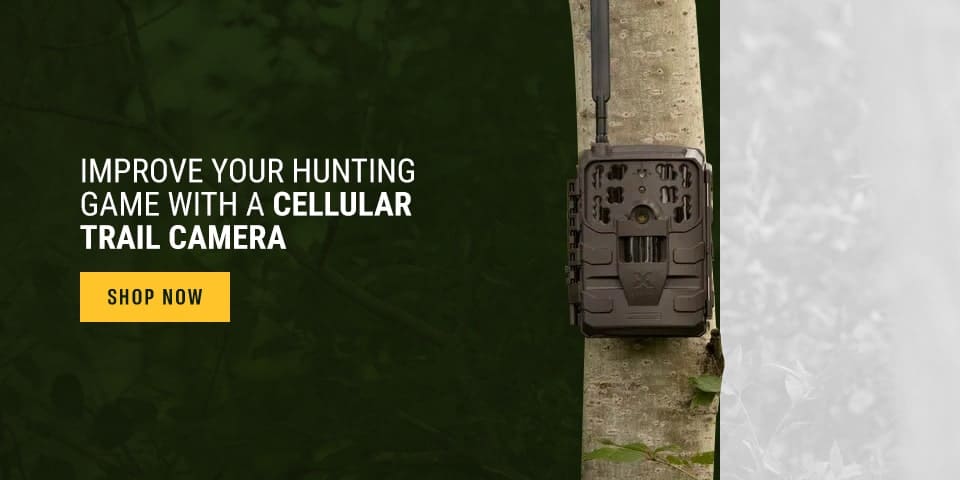 Improve Your Hunting Game With A Cellular Trail Camera