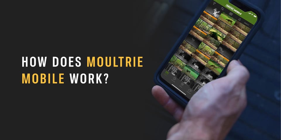 How-Does-Moultrie-Mobile-Work__