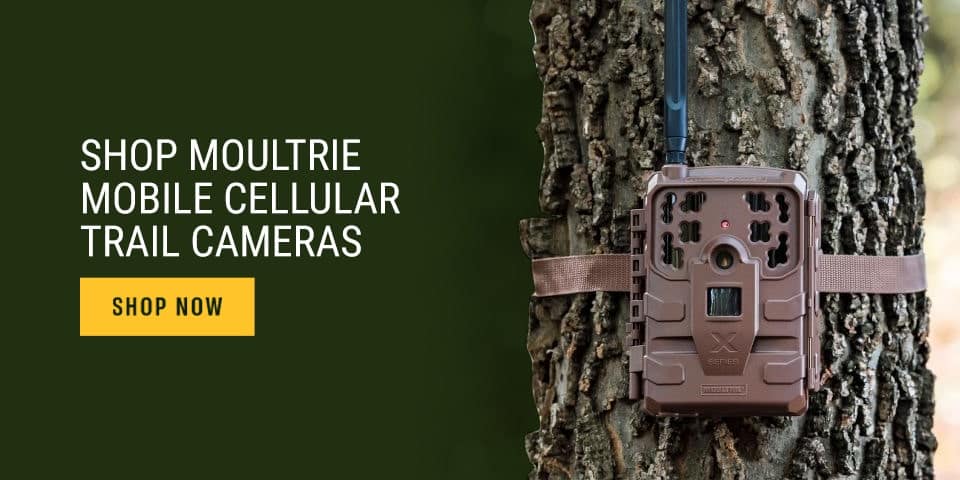 Shop-Moultrie-Mobile-Cellular-Trail-Cameras