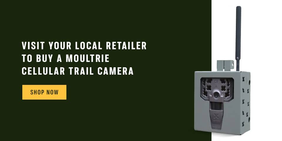 Visit Your Local Retailer To Buy A Moultrie Cellular Trail Camera