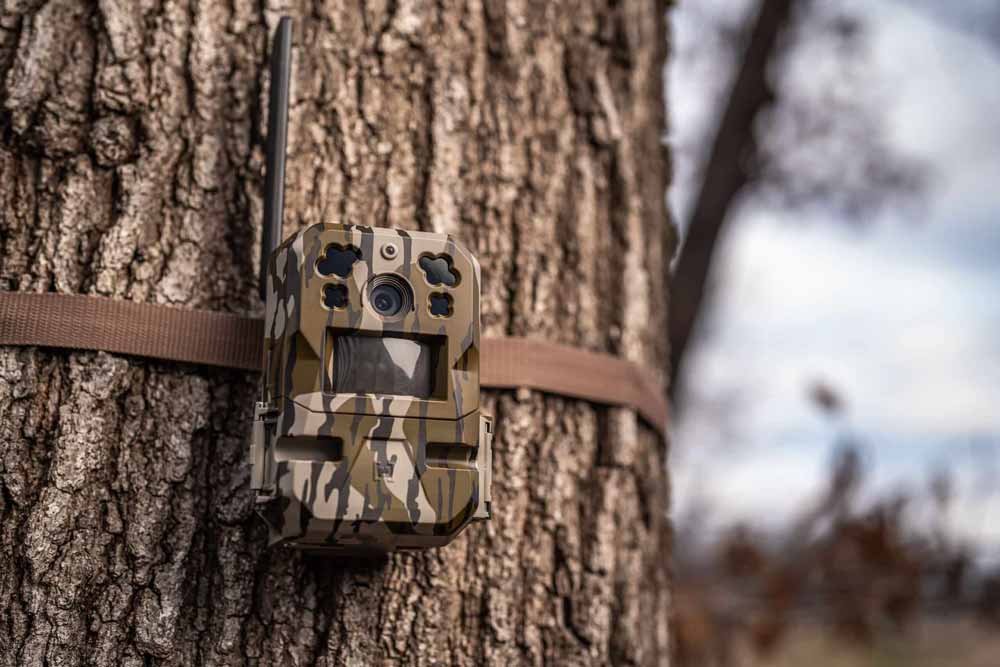Edge Pro Cellular Trail Camera | Moultrie Mobile