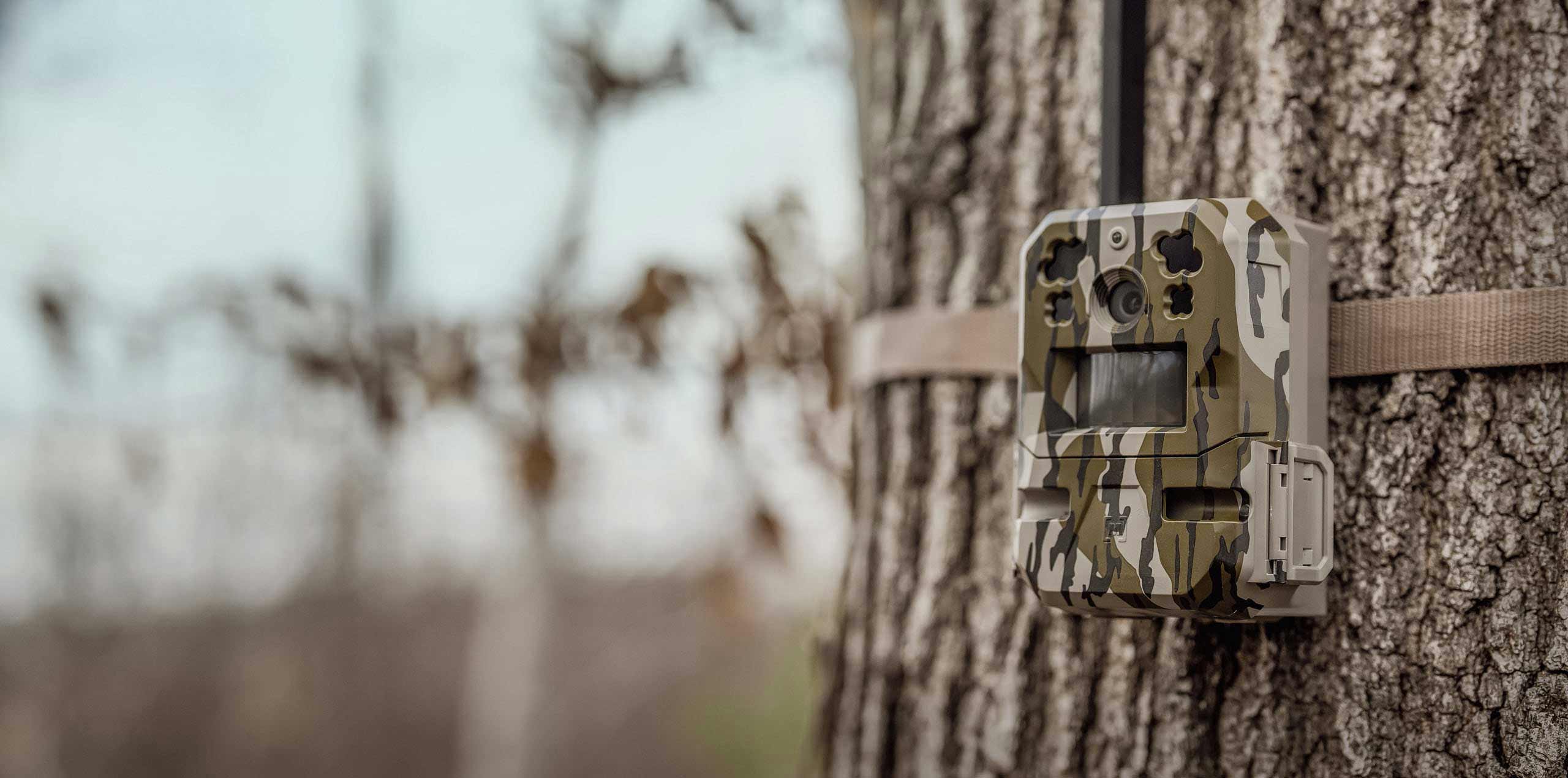 Moultrie Mobile Edge Pro camera strapped to tree.