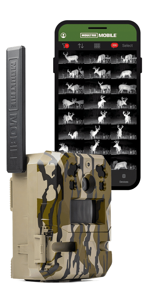 Product photo of Hunting Camera and Moultrie Mobile cellphone app