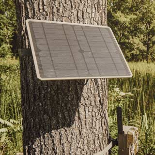 10W Universal Solar Power Pack on Tree.
