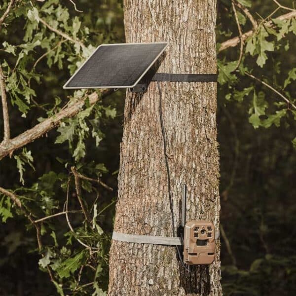 10W Solar Power Pack and a Edge Pro Camera mounted on tree.
