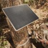 Attaching a 10W Solar Power Pack to a tree.