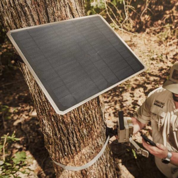Attaching a 10W Solar Power Pack to a tree.